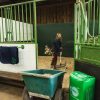 UNIBED EQUINE STRAW BEDDING 4 UNIBED - High Performance Equine Bedding
