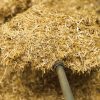 UNIBED EQUINE STRAW BEDDING 8 UNIBED - High Performance Equine Bedding