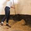 UNIBED EQUINE BEDDING STRAW RAPE OILSEED 7 UNIBED - High Performance Equine Bedding