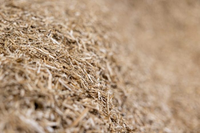 UNIBED EQUINE STRAW RAPE OILSEED 1 UNIBED - High Performance Equine Bedding