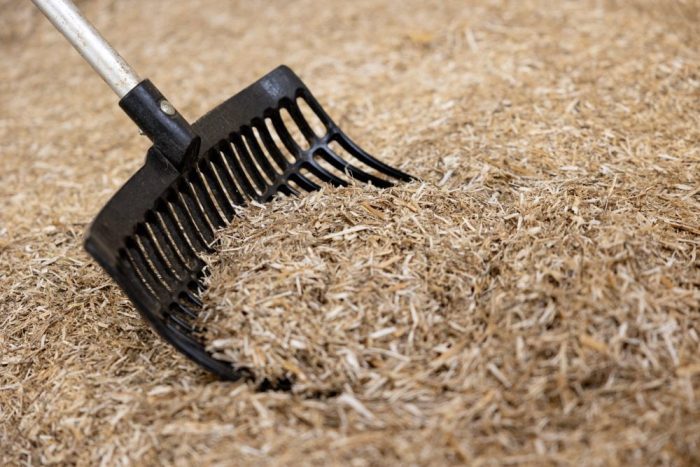 UNIBED EQUINE STRAW RAPE OILSEED UNIBED - High Performance Equine Bedding